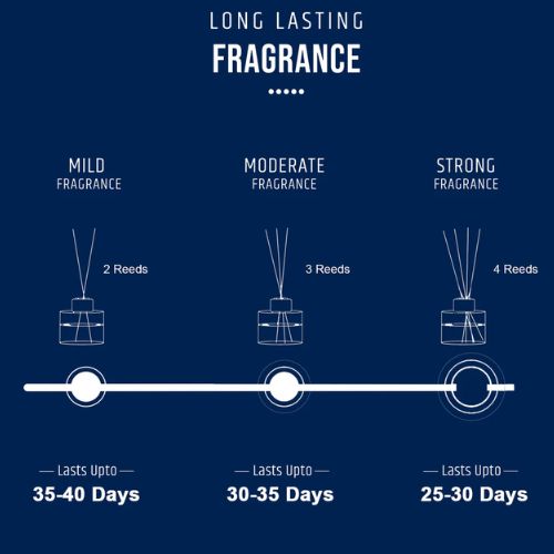 Reed Diffuser