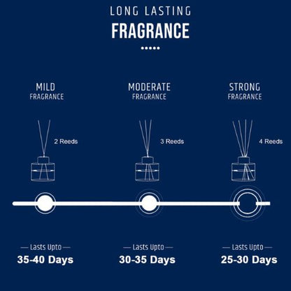 Reed Diffuser