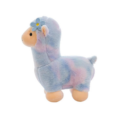 Ms. Daisy Lama