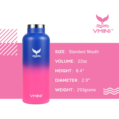 Stainless Steel Bottle - Horizon