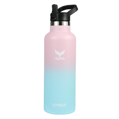 Stainless Steel Bottle - Horizon