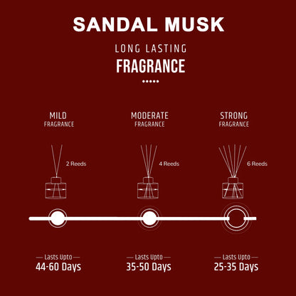 Oriental Reed Diffuser - Sandal Musk